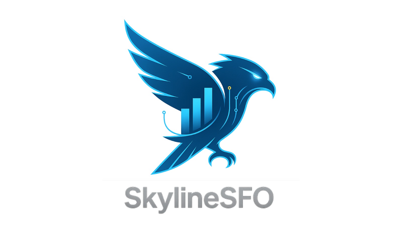 SkylineSFO.com Review