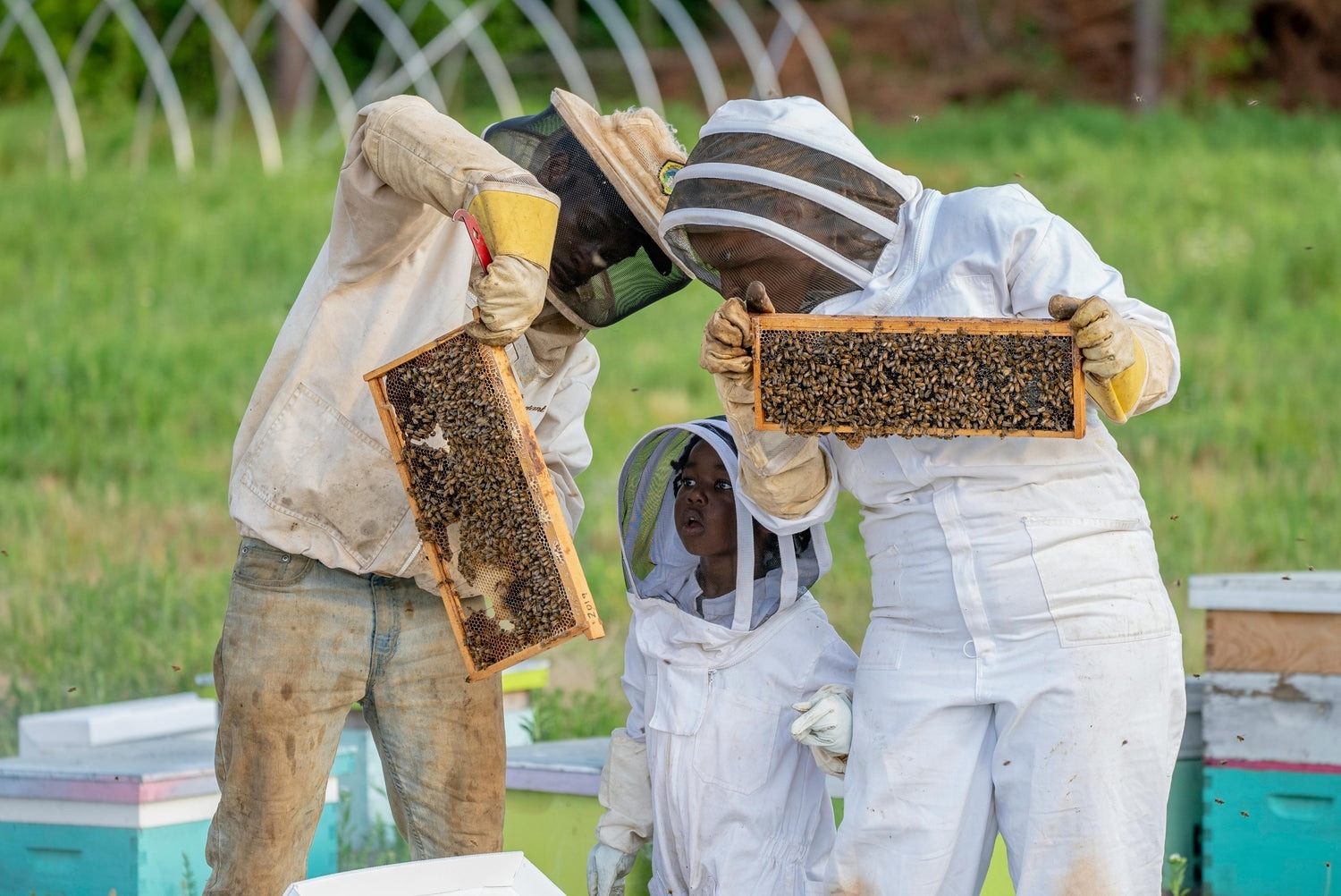 Bee Feeders and Beekeeping Supplies: Supporting Healthy and Productive Hives